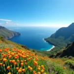 Kiedy na Maderę? Najlepszy czas na niezapomnianą wizytę