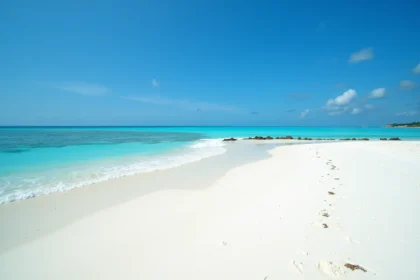 Kiedy na Zanzibar? Najlepszy czas na wakacje i pogodę