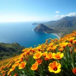 Madera: Kiedy Najlepiej Jechać na Wakacje?